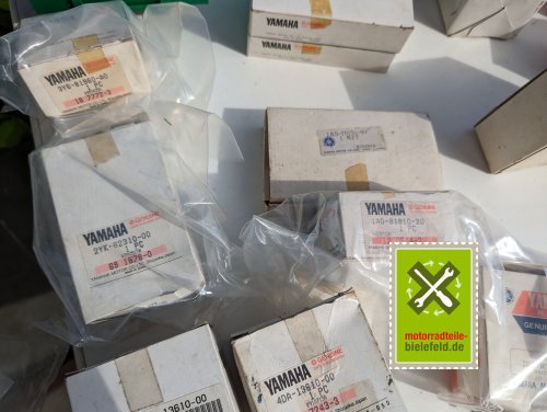 PXL_20240527_145539752